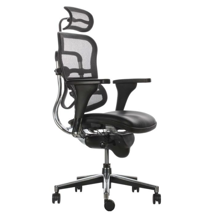 ergohuman mixto 2